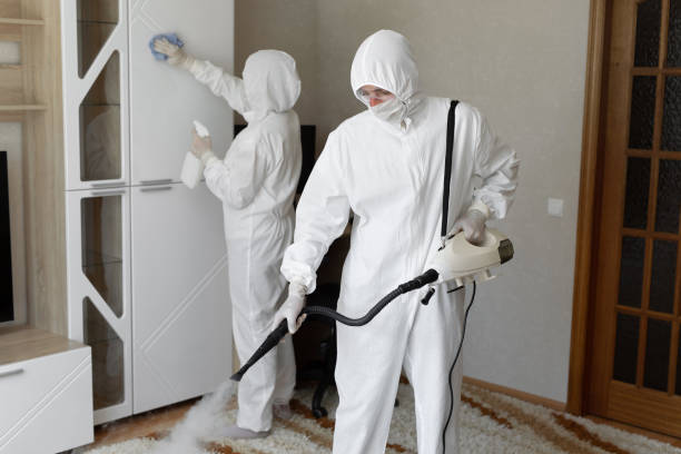 Best Mold Removal Process  in Thornton, CO